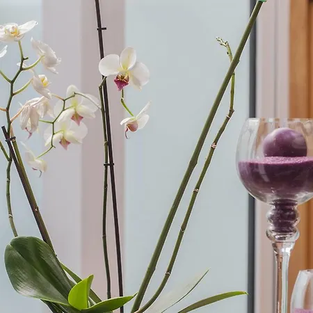 Hotel Costa Nova Hotel