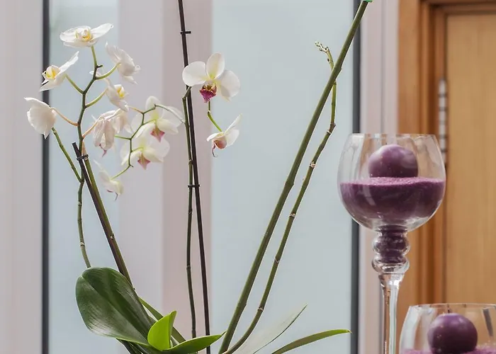 Hotell Costa Nova Hotel